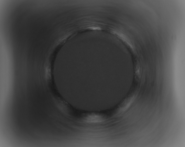 X0000101100547200806261514
