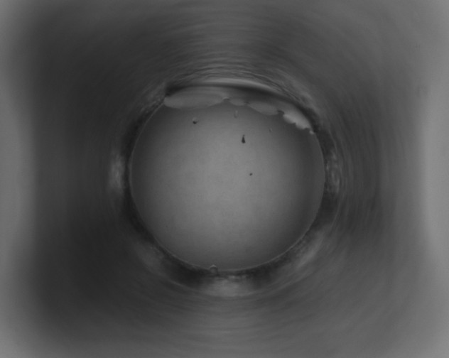 X0000101100550200806261514