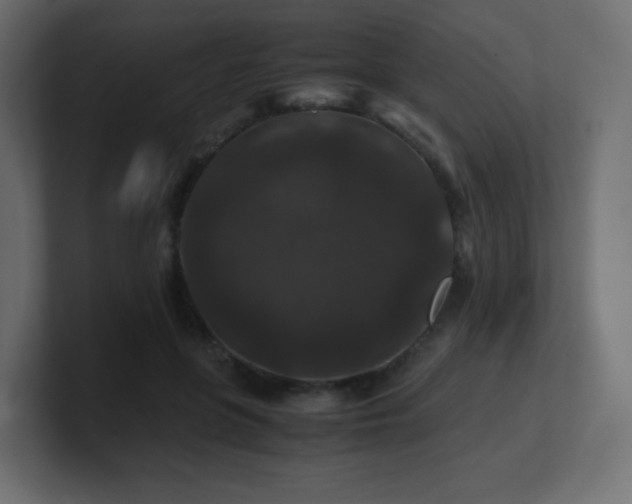 X0000101100551200806261514