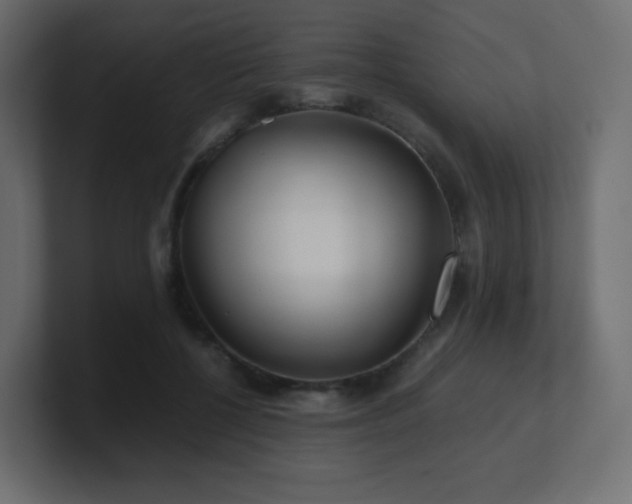X0000101100552200806261514