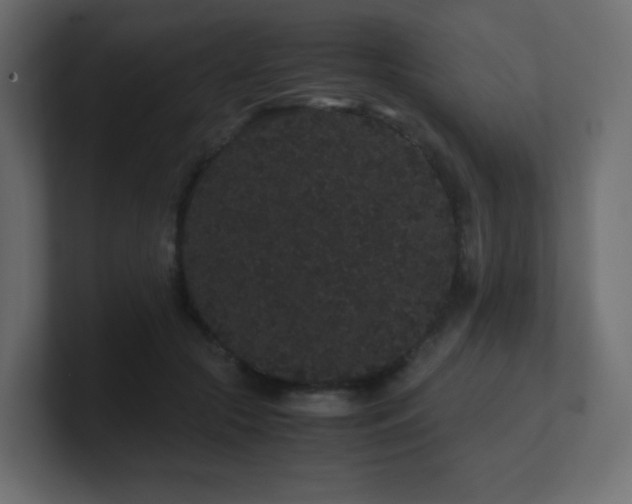 X0000101100553200806261514