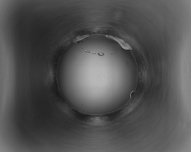 X0000101100558200806261515