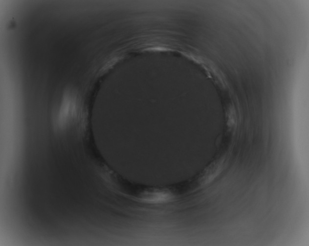 X0000101100559200806261515