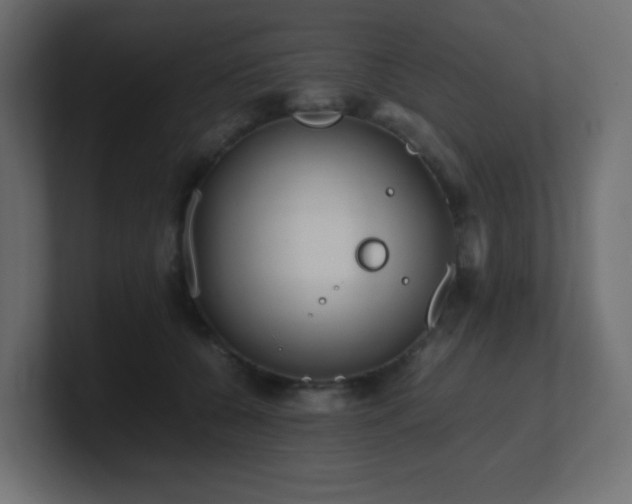 X0000101100560200806261515