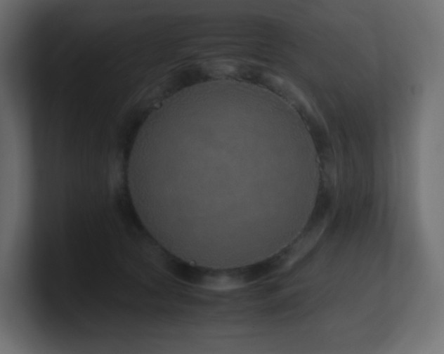 X0000101100561200806261515