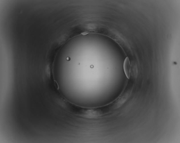 X0000101100562200806261515
