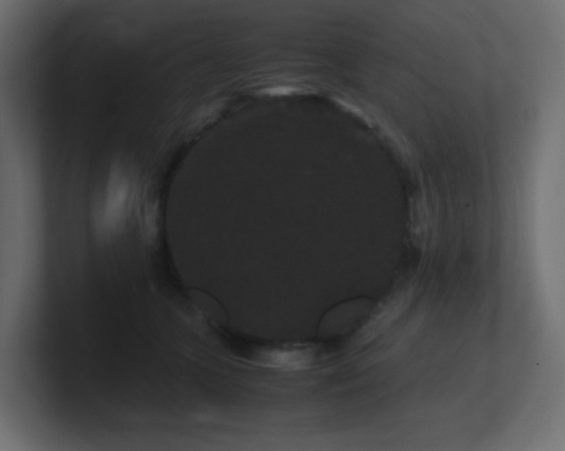 X0000101100563200806261515