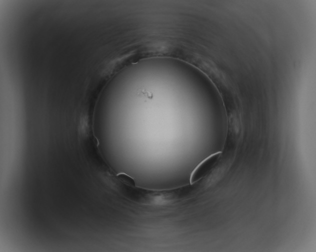 X0000101100564200806261515