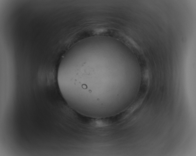 X0000101100565200806261515