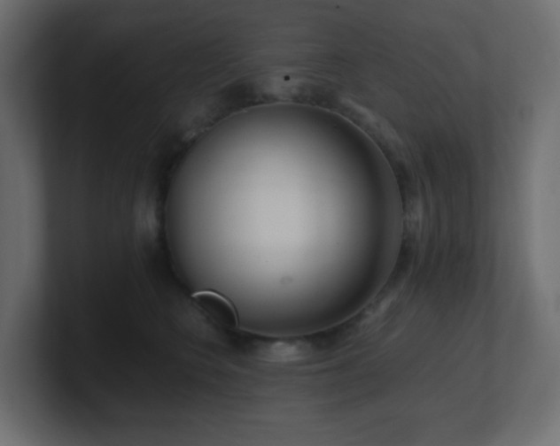 X0000101100566200806261515