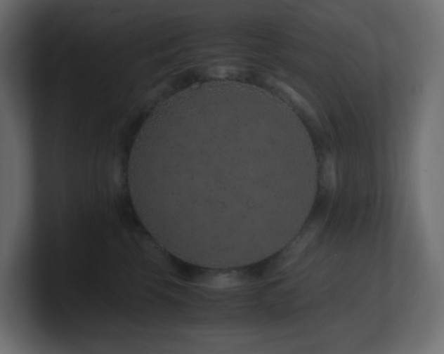 X0000101100569200806261515