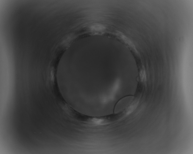 X0000101100570200806261515