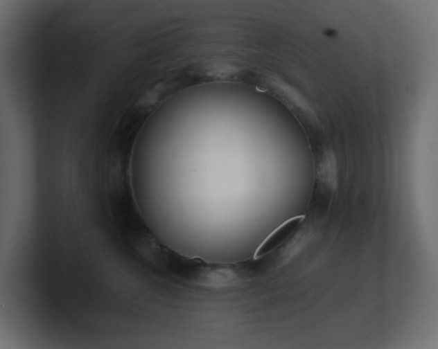 X0000101100572200806261515