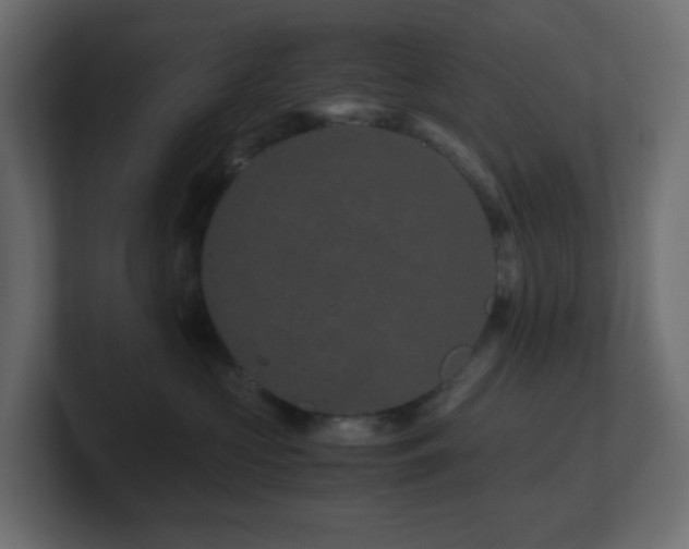 X0000101100573200806261515