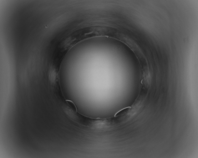 X0000101100574200806261515