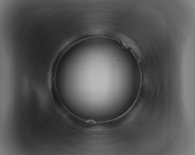 X0000101100578200806261514