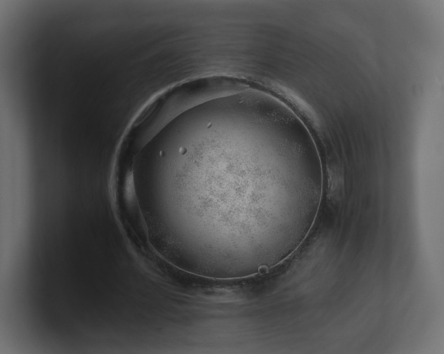 X0000101100580200806261514