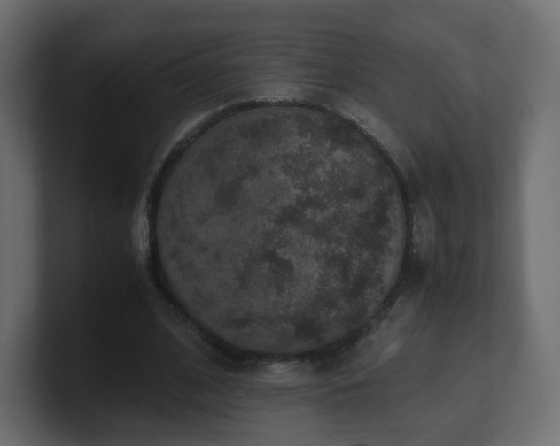 X0000101100584200806261514