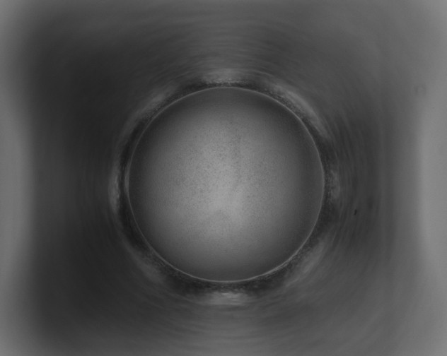 X0000101100586200806261514