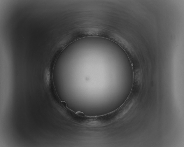 X0000101100589200806261514