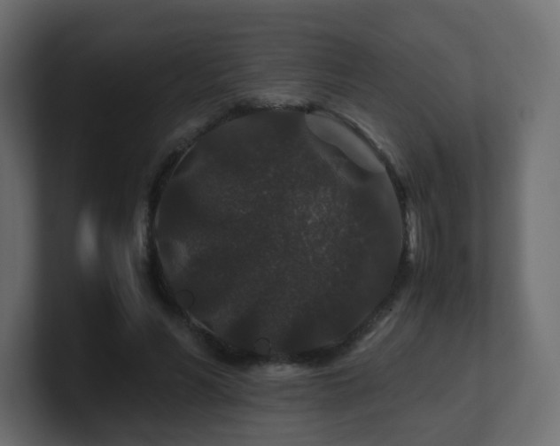 X0000101100590200806261514