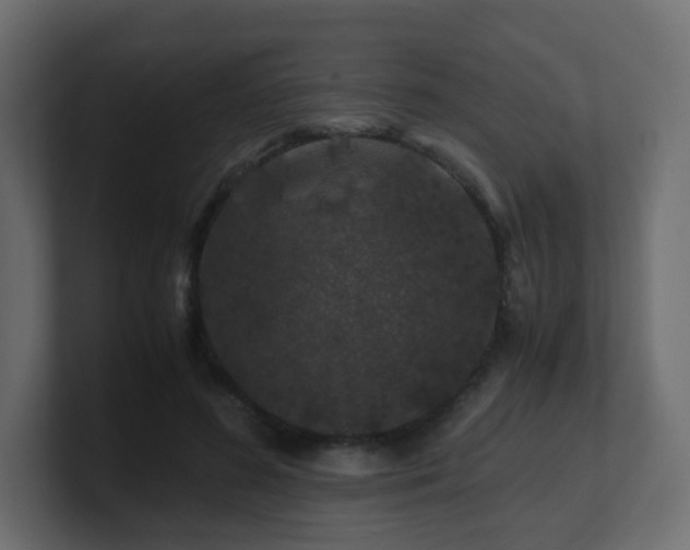 X0000101100596200806261514