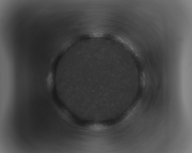 X0000101100598200806261514