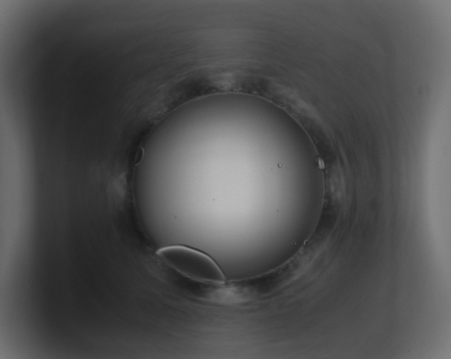 X0000101100611200806261514