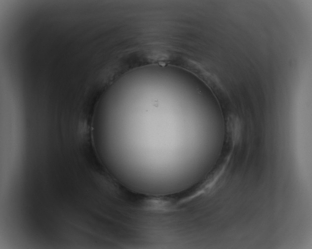 X0000101100614200806261514
