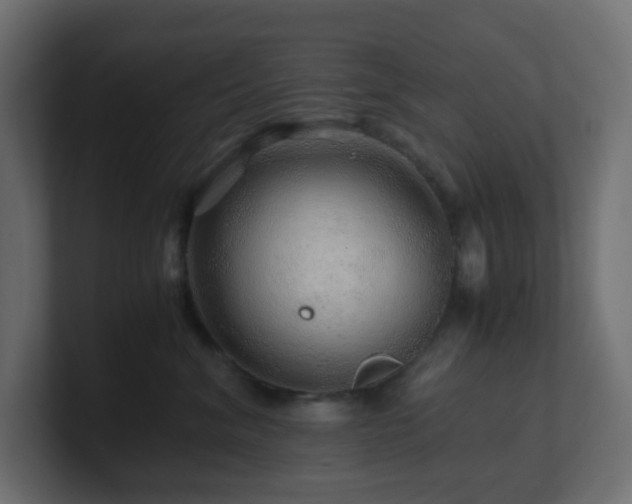 X0000101100620200806261513