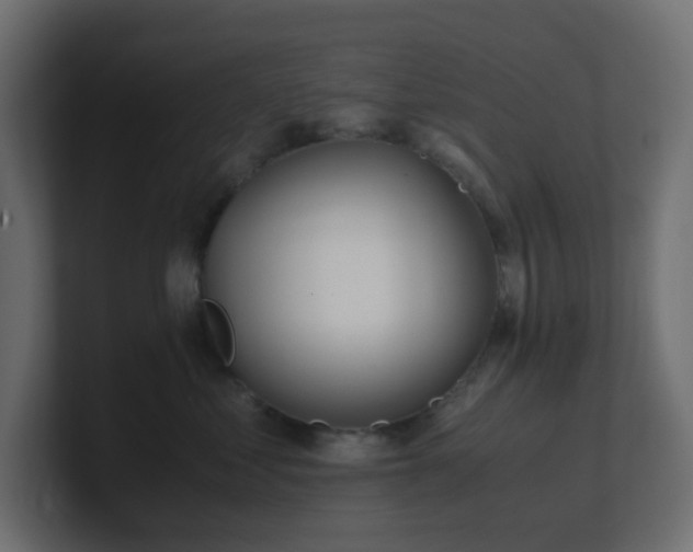 X0000101100621200806261513