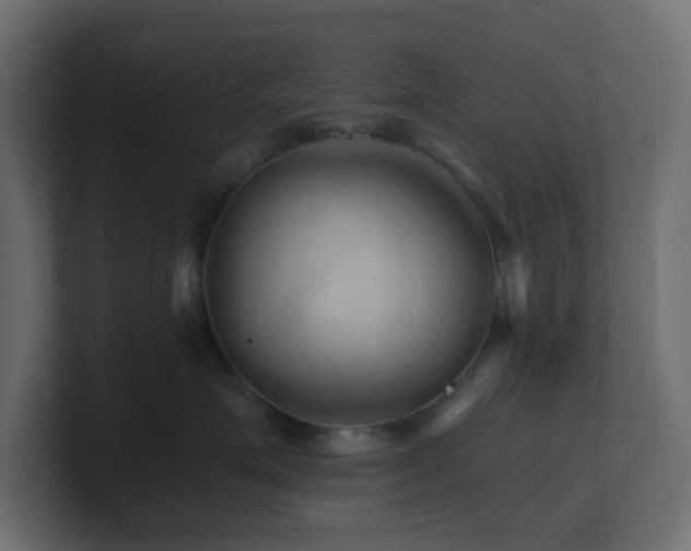 X0000101100623200806261513
