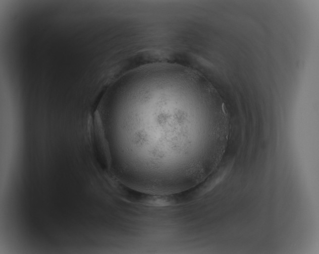X0000101100624200806261513