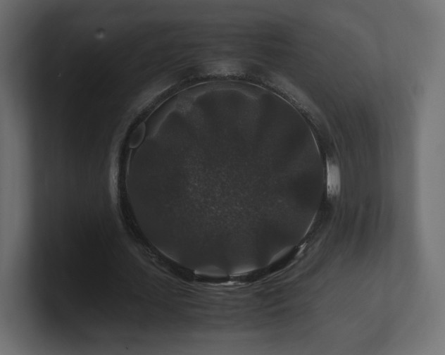 X0000101100627200806261513