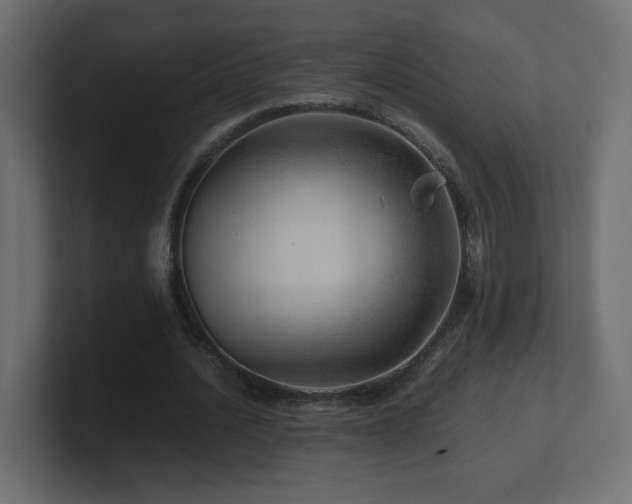 X0000101100628200806261513