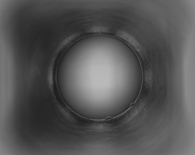 X0000101100629200806261513