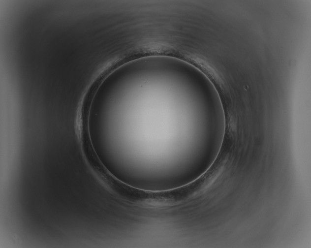 X0000101100630200806261513