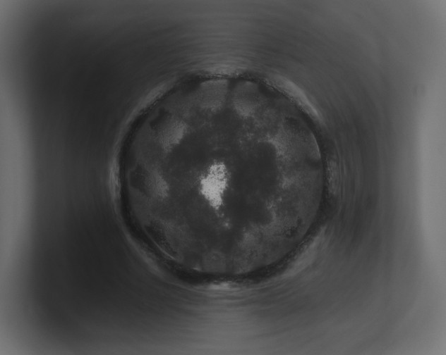 X0000101100634200806261513