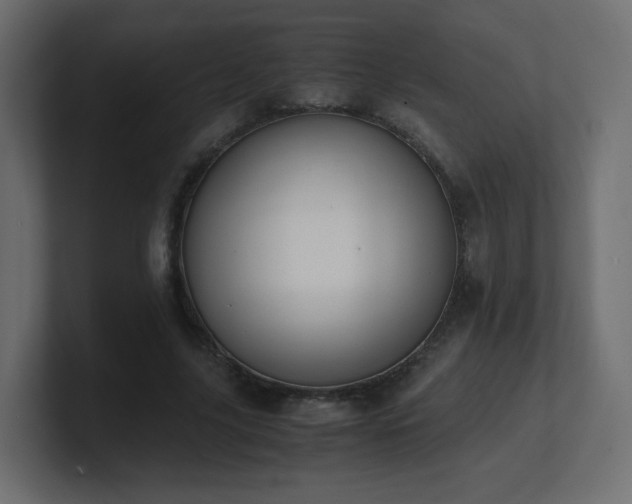 X0000101100635200806261513