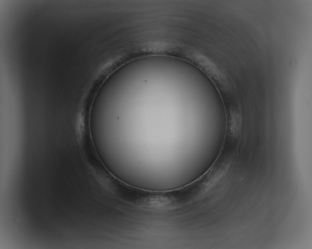X0000101100636200806261513