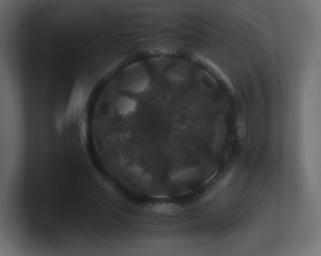 X0000101100637200806261513