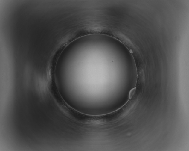 X0000101100638200806261513