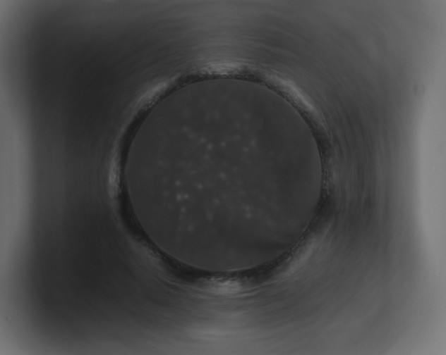 X0000101100640200806261513