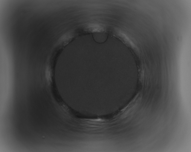 X0000101100643200806261513