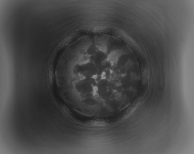 X0000101100644200806261513