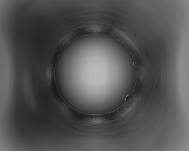 X0000101100645200806261513