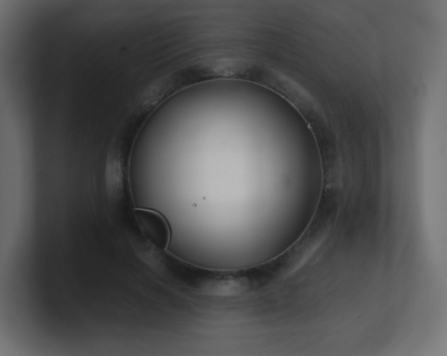 X0000101100646200806261513