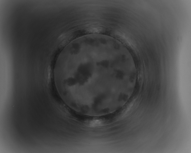 X0000101100647200806261513