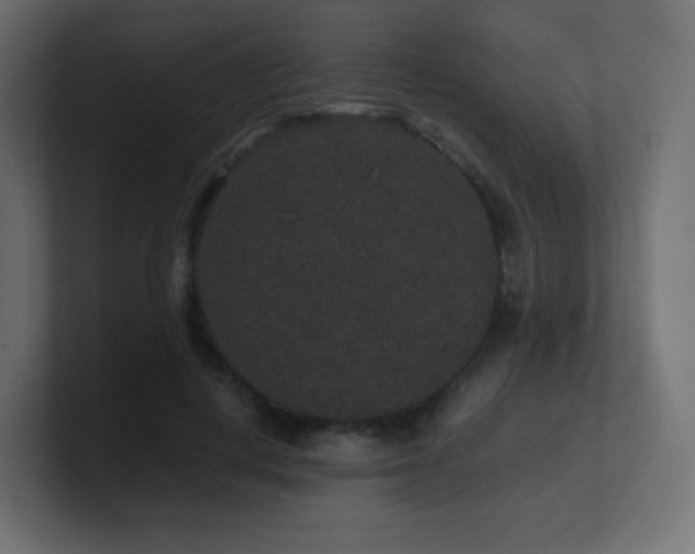 X0000101100648200806261513
