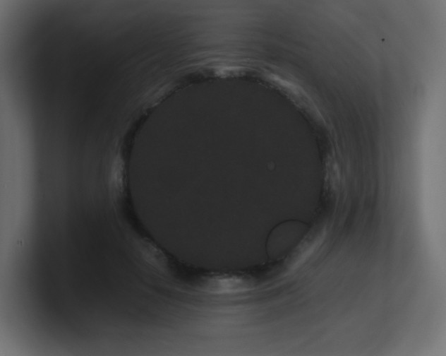 X0000101100650200806261513